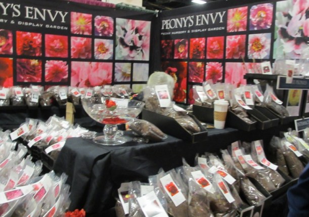 Dozens of Peonies for sale at Peony's Envy
