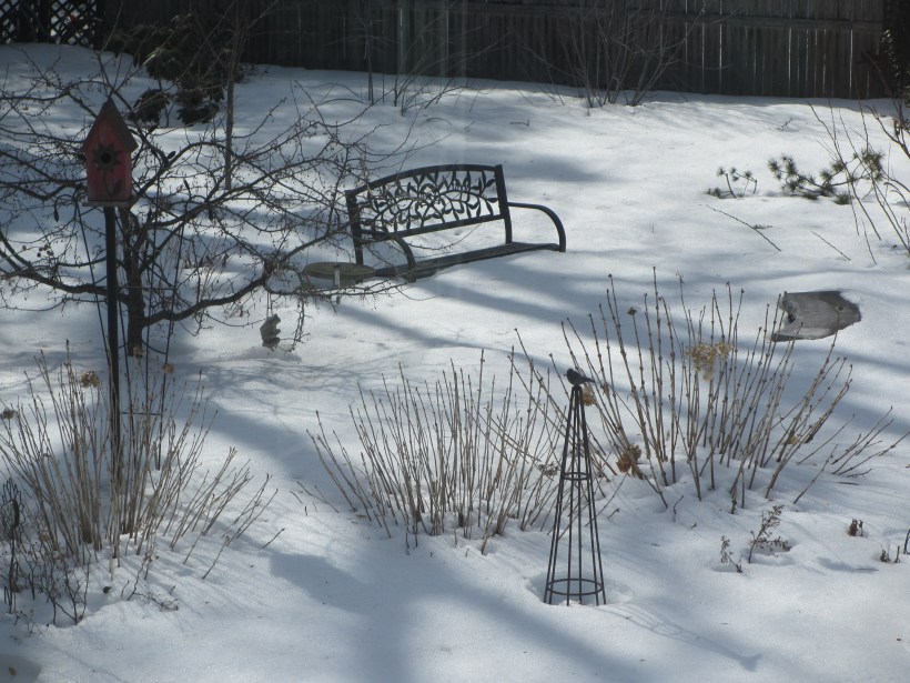 Back to Reality! Garden is still covered in a thick blanket of snow.