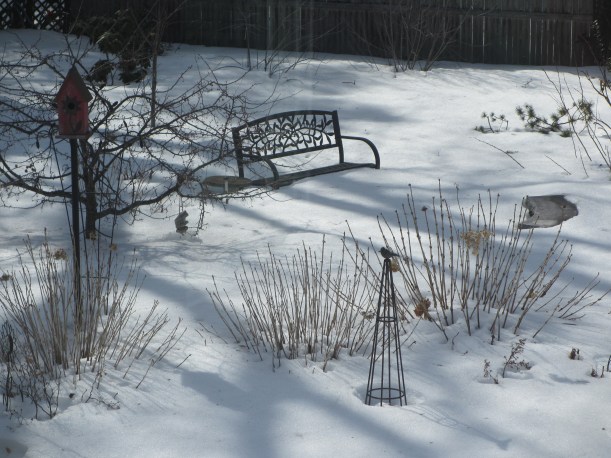 Back to Reality! Garden is still covered in a thick blanket of snow.