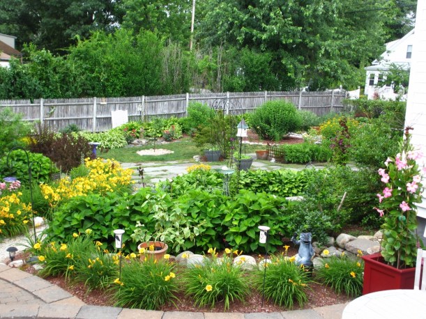 Garden paths lined by Stella d'Oro Daylilies.