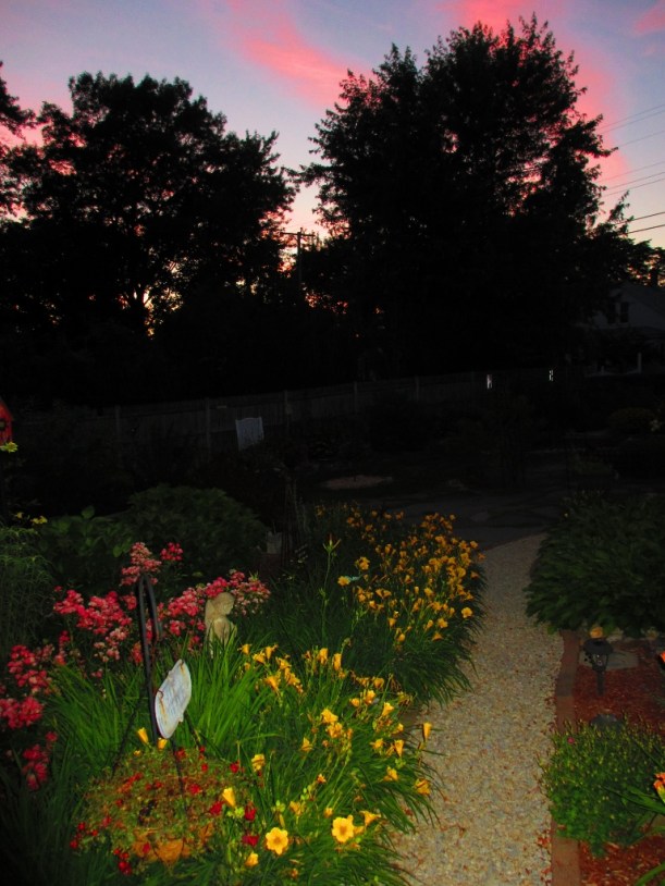 Our gorgeous, glowing garden sunset.