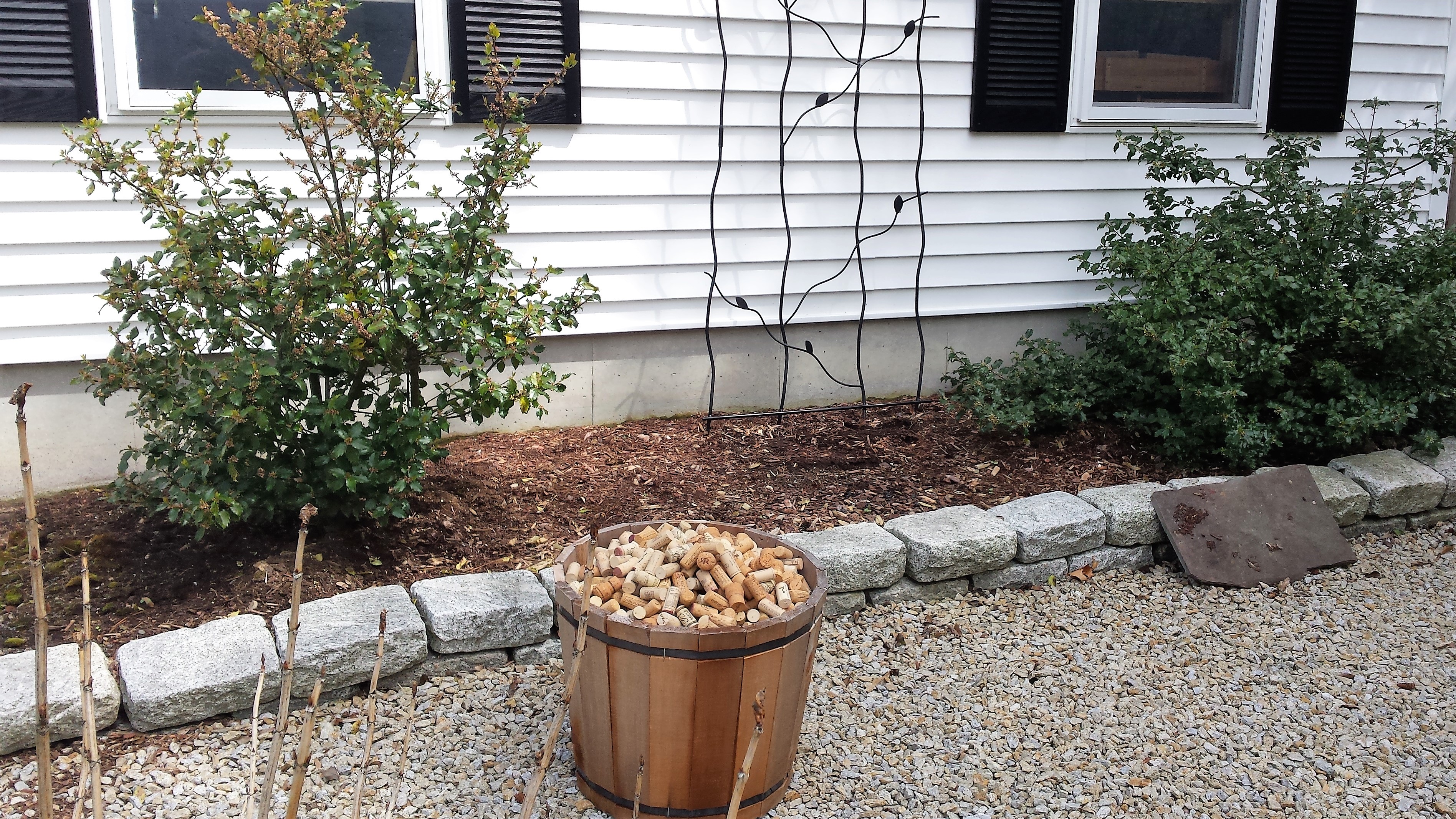 CorkMulch-2017 Before