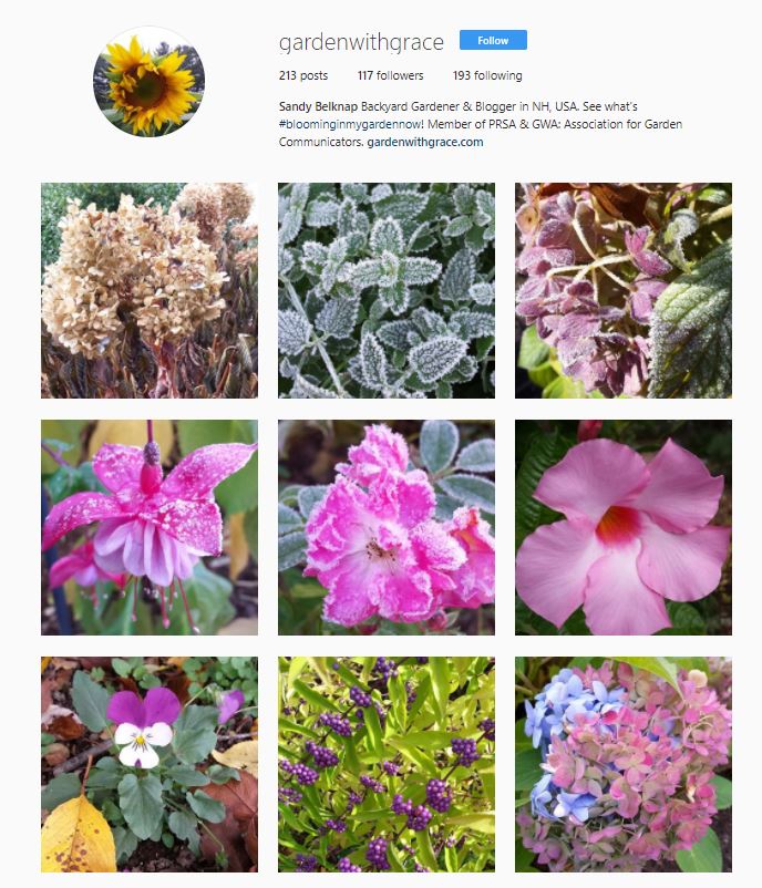 Instagram Screenshot